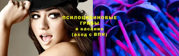 ешки Алексеевка