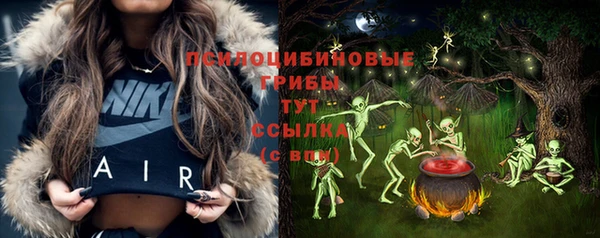 ешки Алексеевка