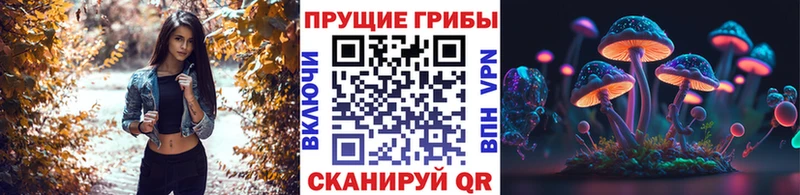 Галлюциногенные грибы GOLDEN TEACHER  Стародуб 
